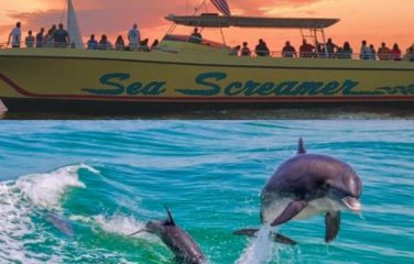 Sea Screamer Dolphin & Sightseeing Cruises