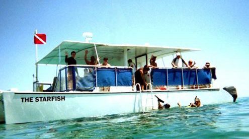 Explore Marathon's beautiful reefs with Starfish Snorkeling