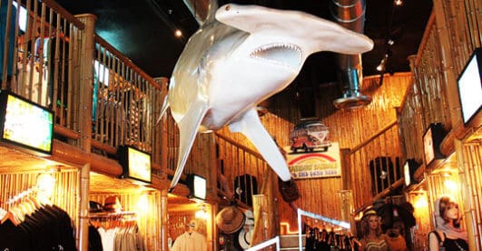 Hammerhead Surf Shop