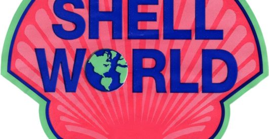 Shell World: A 'wow' gift shop with everything you need for souvenirs