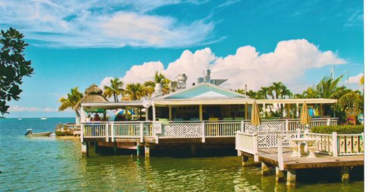 Dine on delicious food