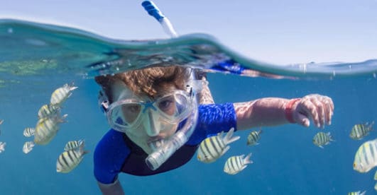 Snorkel Islamorada with Clearly Unique Charters