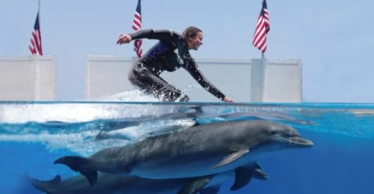 Gulf World Marine Park