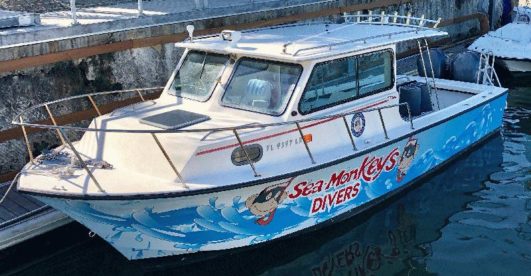 Personalize your dive