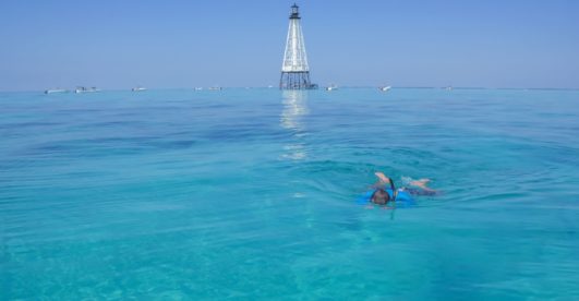 Blue Fin Inn: Have we got a sweet deal for you!