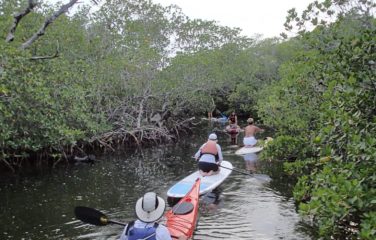 kayakers in mangroves Florida Keys