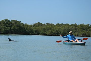 2 Hr Guided Kayak Tour 2 Hr Guided Kayak Tour