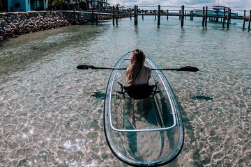 Clear Kayak Tour in Jupiter Clear Kayak Tour in Jupiter
