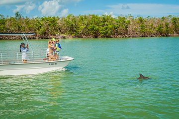 Marco Island Dolphin-Watching Tour Marco Island Dolphin-Watching Tour