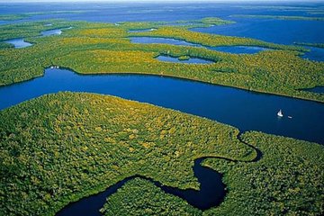 Private 4-Hour Exciting Everglades Tour-Languages on request Private 4-Hour Exciting Everglades Tour-Languages on request