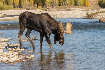 Take a Sunrise Tour of Grand Teton National Park Take a Sunrise Tour of Grand Teton National Park