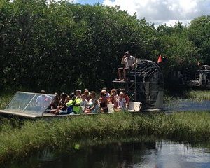 3 - 4 hours Everglades Tour from Miami