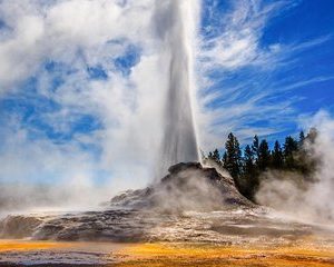 All-Day Private Tour of Yellowstone National Park