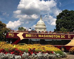 Big Bus Washington DC Open Top Hop-On Hop-Off Tour
