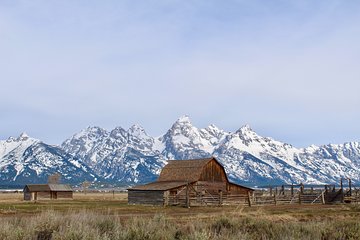 Grand Teton Half Day Tour