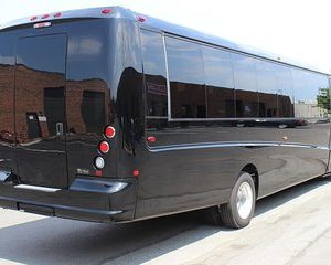 Mini bus Tour of Washington DC