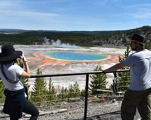 PRIVATE Yellowstone Tour 4 or more people- Picnic, Binoculars, Spotting Scope
