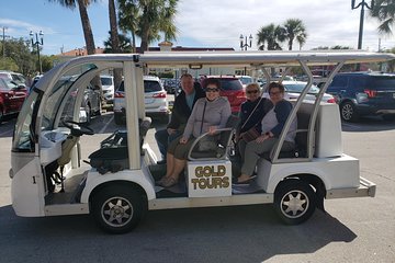 Private Guided Historic Electric Cart Tour of St. Augustine