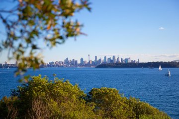 Private Sydney Foreshores and Beaches SUV Tour