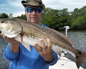 Sarasota Inshore Fishing Charters