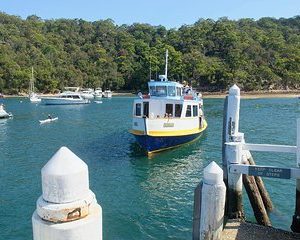 Sydney's Northern Beaches Private Tour with River Cruise to Secluded Beaches