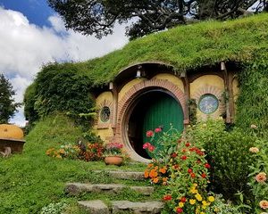 Tour of The Hobbiton Movie Set from Auckland