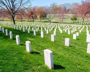 Washington DC Morning Guided Sightseeing Tour with Arlington Cemetery Admission