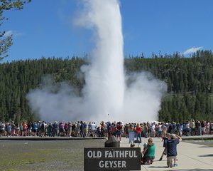 Yellowstone National Park - PRIVATE Full-Day Lower Loop Tour from Jackson Hole