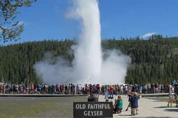 Yellowstone National Park - PRIVATE Full-Day Lower Loop Tour from Jackson Hole