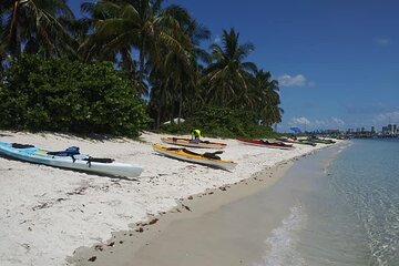 Kayak Island Tour and Picnic in Palm Beach, Florida