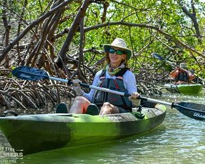 Mangrove Tunnels & Mudflats Kayak Tour - Local Biologist Guides