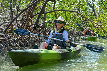 Mangrove Tunnels & Mudflats Kayak Tour - Local Biologist Guides
