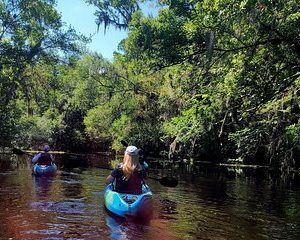 2 Hour Old Florida Backwater Kayak Tour
