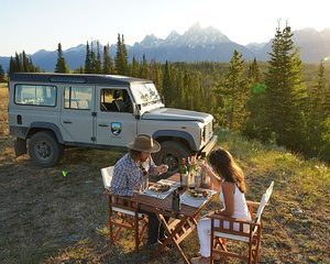 Afternoon Private Grand Teton Tour with Picnic Dinner