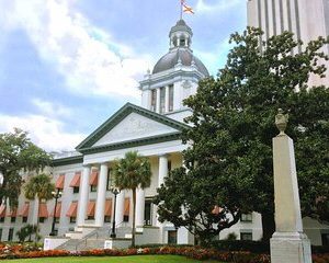 Guided Tours in Florida's Capital & The Forgotten Coast