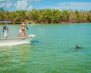 Marco Island Dolphin-Watching Tour