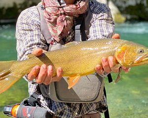 Private Half-day Fly Fishing Activity on the Buffalo Fork River