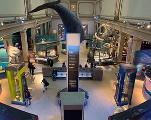 Smithsonian National Museum of Natural History 2H-Guided Tour