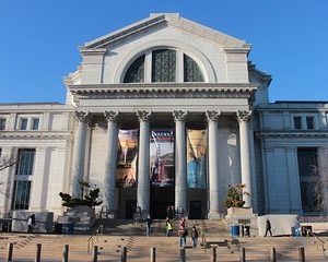 Smithsonian Natural History & National Gallery of Art Guided Tour - Private Tour