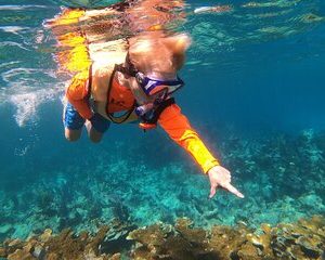 Snorkel TWO Coral Reefs on a 2022 SNORKEL ONLY Boat! All Equipment Included!