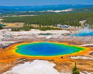 Yellowstone Full Day Tour from Jackson Hole