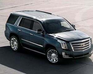 Arrival Private Transfer Dallas Airport DAL to Dowtown Dallas by Luxury Vehicle
