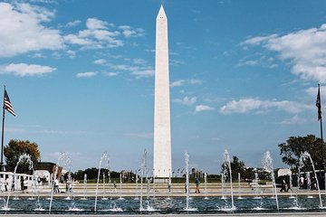 DC National Mall and Capitol Hill Guided Walking Combo Tour - Private Tour
