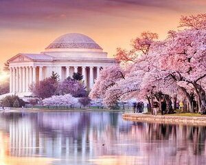 2 Day Self-guided Museum and Monument Tours for Cherry Blossom