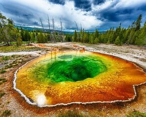 All-Day Tour of Yellowstone National Park