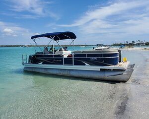 Sonnys Boat Tours Private Sand Bar Adventure Englewood Florida