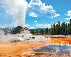 Yellowstone Grand Teton and Coeur d'Alene 5-Day Tour from Seattle