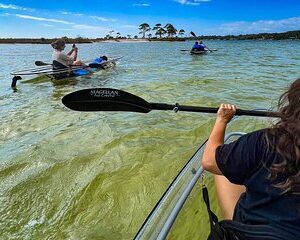 Clear Kayak Ecotour Destin Ft. Walton Beach