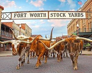 Fort Worth Highlights & Southfork Ranch Combo Tour