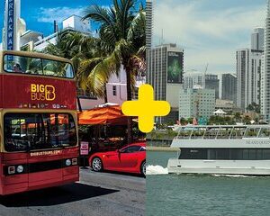 Miami Half-Day Open-Top Bus & Millionaire's Row Boat Cruise